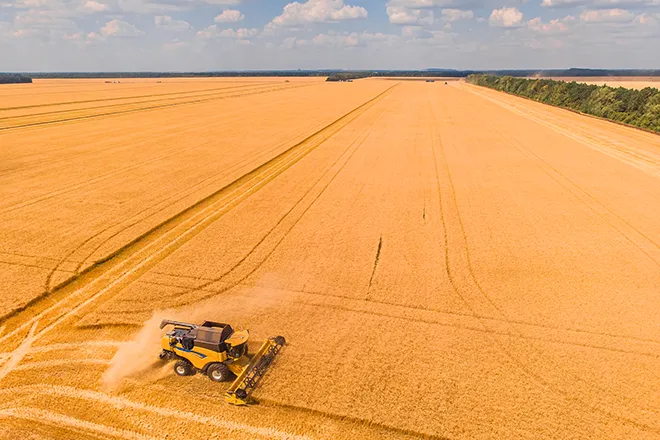 Komplet webdesign og UX-løsning leveret af freelance webdesigner til Maskinbladet.