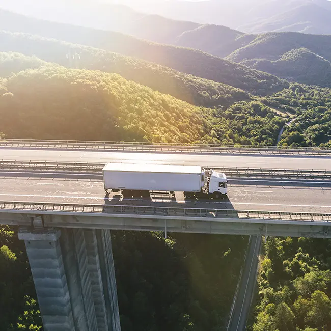 Pillefragten Webshop design