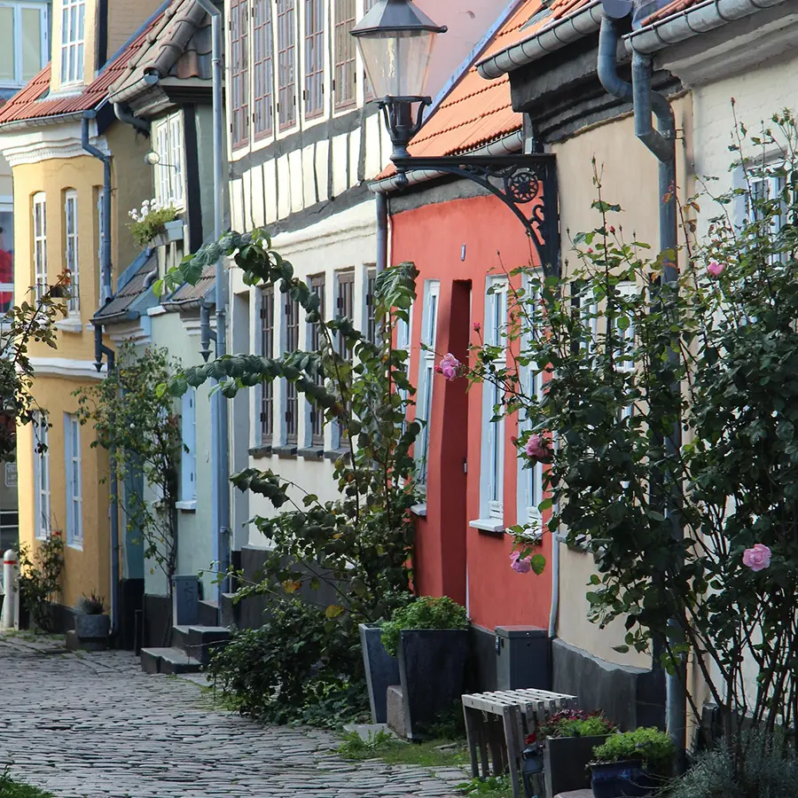 Aalborg som visuelt element på side om SEO i Aalborg