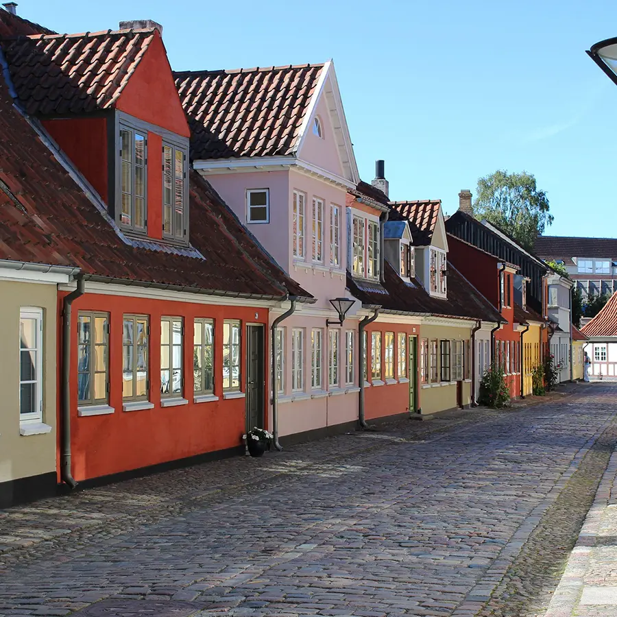 Odense by som visuelt element på side om SEO i Odense